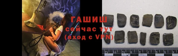 гидра Новодвинск