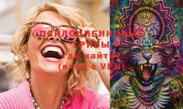твердый Балахна