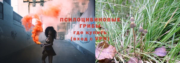 твердый Балахна